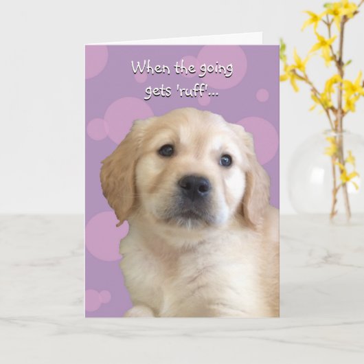 Funny Get Well / Thinking Your Card Karte (Gelbe Blume)