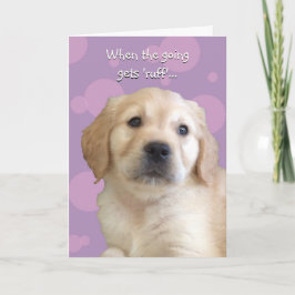 Funny Get Well / Thinking Your Card Karte