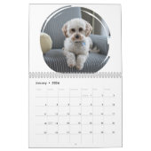 Funny Gift Crapping Dog Kalender (Jan 2026)