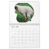 Funny Gift Crapping Dog Kalender (Mär 2027)