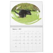 Funny Gift Crapping Dog Kalender (Feb 2027)