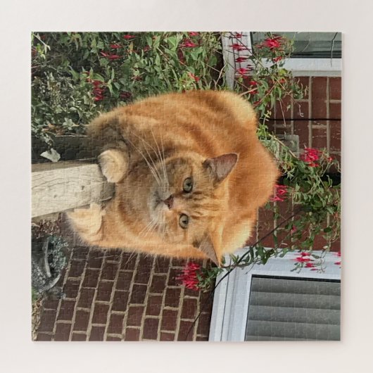 Funny Ginger Cat auf Zaun Puzzle (Horizontal)
