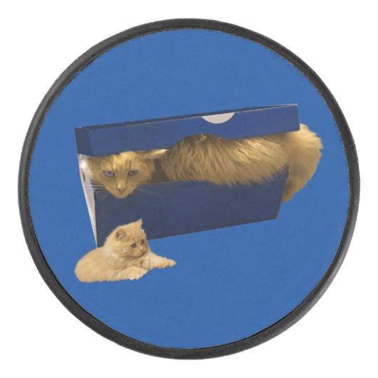 Funny Ginger Cat in einer Showbox, Hockey Puck (Vorderseite)