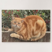 Funny Ginger Cat on Fence Sideways on Puzzle (Horizontal)