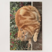 Funny Ginger Cat on Fence Sideways on Puzzle (Vertikal)
