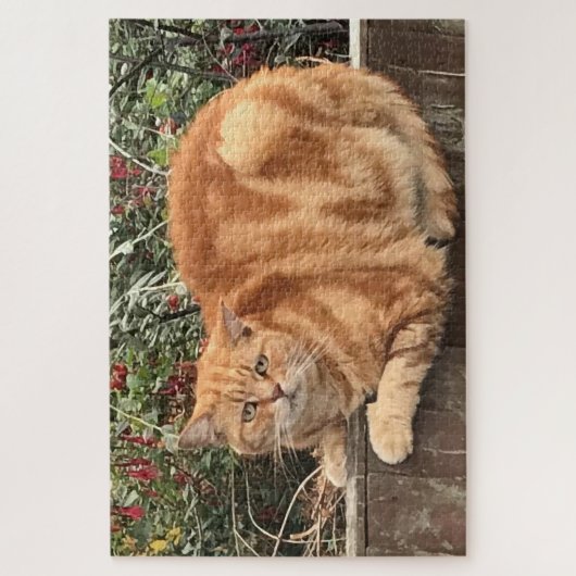 Funny Ginger Cat on Fence Sideways on Puzzle (Vertikal)
