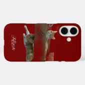 Funny Ginger Cats , Customizable Image And Photo Case-Mate iPhone Hülle (Rückseite (Horizontal))
