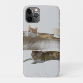 Funny Ginger Cats , individualisierbares Image und Case-Mate iPhone Hülle