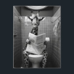 Funny Giraffe auf der Toilette Postkarte<br><div class="desc">Eine lustige Giraffe auf der Toilette,  die die Zeitung in Schwarz-Weiß liest</div>