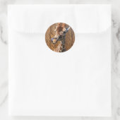Funny Giraffe auf Holzhintergrund Runder Aufkleber (Tasche)