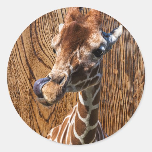 Funny Giraffe auf Holzhintergrund Runder Aufkleber (Vorderseite)