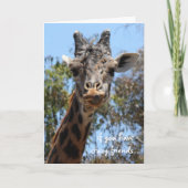 Funny Giraffe Card, Freunde sind alles! Karte (Vorderseite)