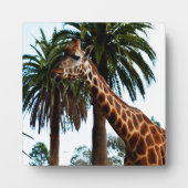Funny Giraffe, der eine Himbeere gibt, Fotoplatte (Vorderseite)