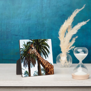 Funny Giraffe, der eine Himbeere gibt, Fotoplatte