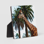 Funny Giraffe, der eine Himbeere gibt, Fotoplatte (Vorderseite)
