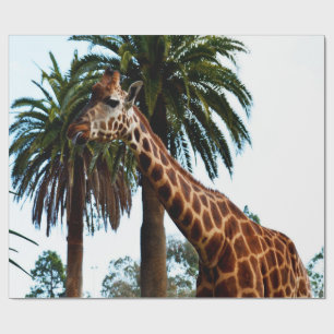 Funny Giraffe, der eine Himbeere gibt, Geschenkpapier