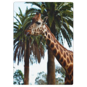 Funny Giraffe, der eine Himbeere gibt, Klemmbrett (Rückseite)