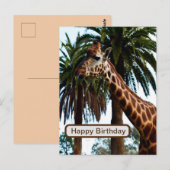 Funny Giraffe, der eine Himbeere gibt, Postkarte (Vorne/Hinten)