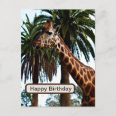 Funny Giraffe, der eine Himbeere gibt, Postkarte (Vorderseite)