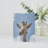 Funny Giraffe Gesicht Nah up Fotografie Postkarte (Stehend Vorderseite)