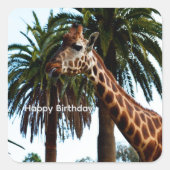 Funny Giraffe Giving A Raspberry Birthday Sickers Quadratischer Aufkleber (Vorderseite)