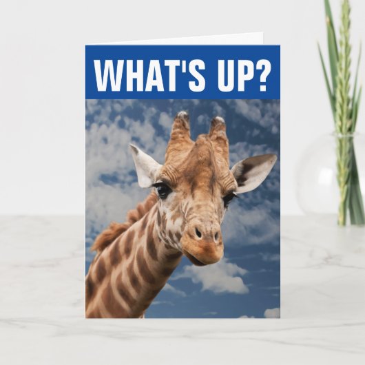 FUNNY GIRAFFE GREETING CARD ZU SAGEN HELLO KARTE (Vorderseite)