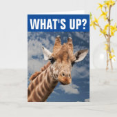 FUNNY GIRAFFE GREETING CARD ZU SAGEN HELLO KARTE (Gelbe Blume)