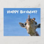 Funny Giraffe Happy Birthday Postkarte<br><div class="desc">Dieses Design enthält ein lustiges und dennoch niedliches Bild einer Giraffe! Ideal für besondere Anlass wie Jubiläen,  Geburtstage und mehr. Wenn Sie das Design durch Ändern der Nachricht oder des Schriftartes personalisieren möchten,  klicken Sie auf "Design bearbeiten".</div>