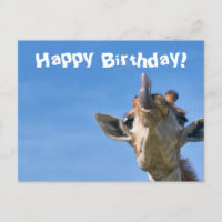 Funny Giraffe Happy Birthday