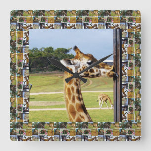 Funny Giraffe leckt einen Pole, Quadratische Wanduhr