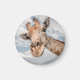 Funny Giraffe Magnet