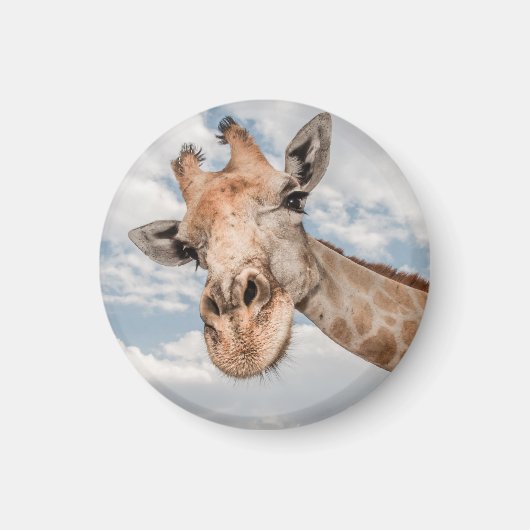 Funny Giraffe Magnet (Vorne)