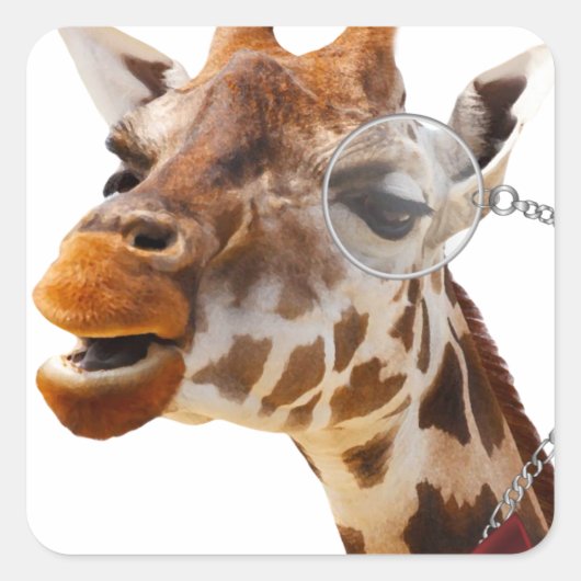 Funny Giraffe mit Bowtie und Monocle Quadratischer Aufkleber (Vorderseite)