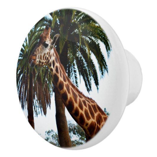 Funny Giraffe Poking Out Tongue, Keramikknauf (Rechts)