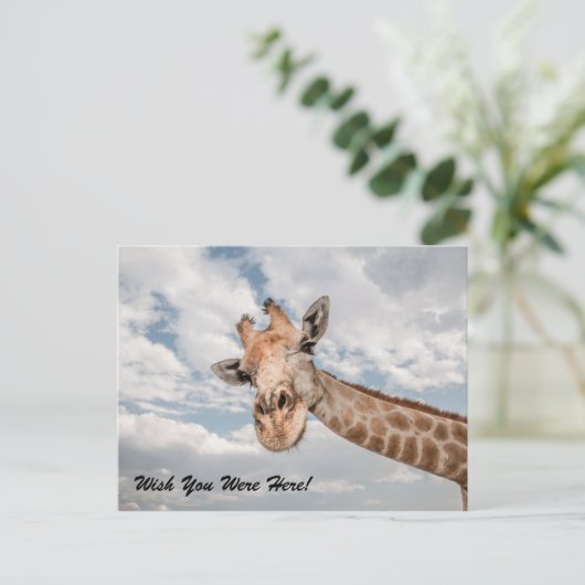 Funny Giraffe Postcard Postkarte (Stehend Vorderseite)