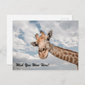 Funny Giraffe Postcard Postkarte (Vorne/Hinten)