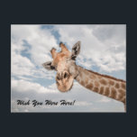 Funny Giraffe Postcard Postkarte<br><div class="desc">Das sonnige Bild einer Giraffe,  die seinen langen Hals mit der Nachricht "wünschst du wärst hier" ausklatscht.</div>