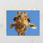 Funny Giraffe Postcard Postkarte (Vorne/Hinten)