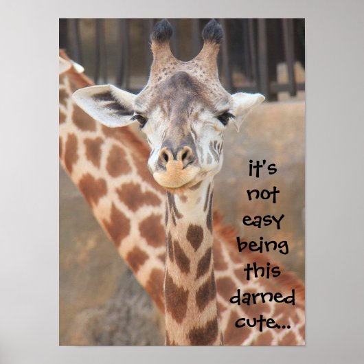 Funny Giraffe Poster (16x12) nicht leicht niedlich (Vorne)