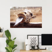 FUNNY GIRAFFE POSTERS - AUS AFRIKA - DRUCKEN POSTER (Heimbüro)