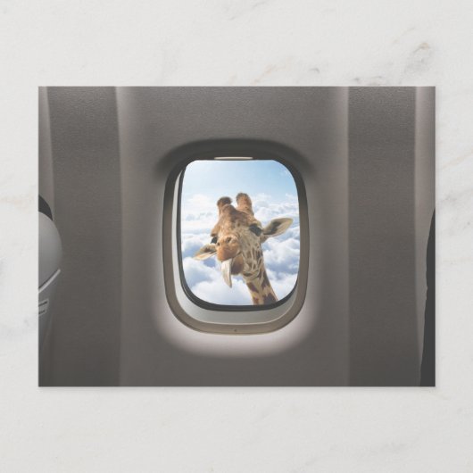 Funny Giraffe Postkarte (Vorderseite)