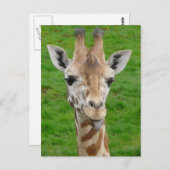 Funny Giraffe Sticken aus der Zunge! Postkarte (Vorne/Hinten)