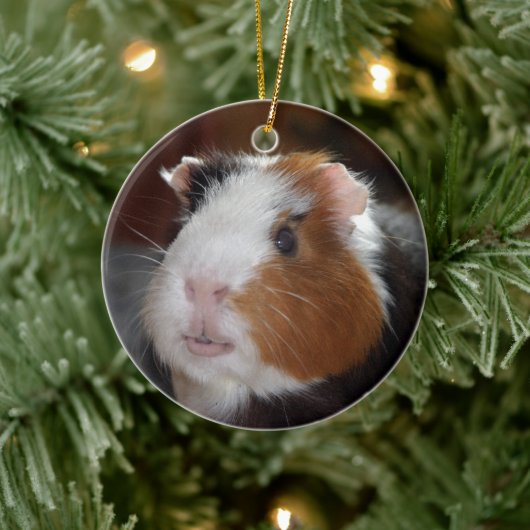 Funny, glatt, tricolor Guinea Pig Face Keramikornament (Baum)