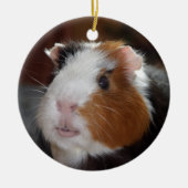 Funny, glatt, tricolor Guinea Pig Face Keramikornament (Vorne)