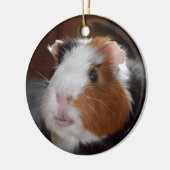 Funny, glatt, tricolor Guinea Pig Face Keramikornament (Links)