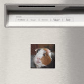 Funny, glatt, tricolor Guinea Pig Face Magnet (In Situ (Geschirrspüler))