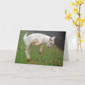 Funny Goat Baby White Goat Springen in Weide Karte (Gelbe Blume)
