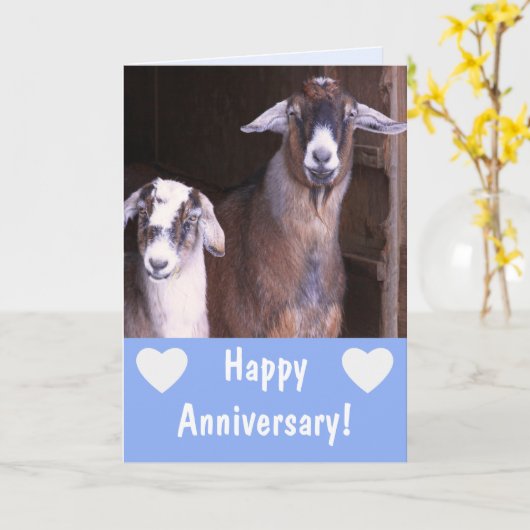 Funny Goat Jahrestag Karte (Gelbe Blume)