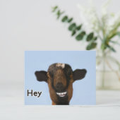 Funny Goat Meme lächeln wirklich große Postkarte (Stehend Vorderseite)