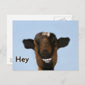 Funny Goat Meme lächeln wirklich große Postkarte (Vorne/Hinten)
